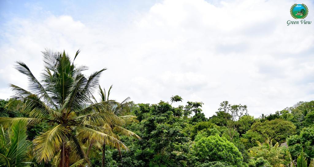 View Homestay
