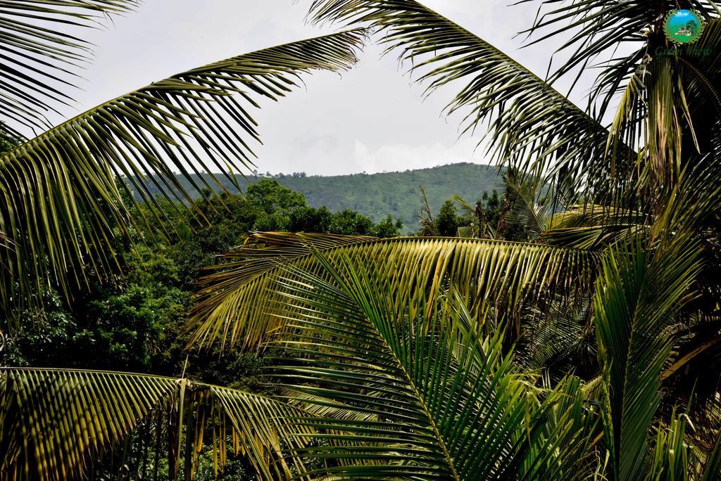 View * Thekkady
